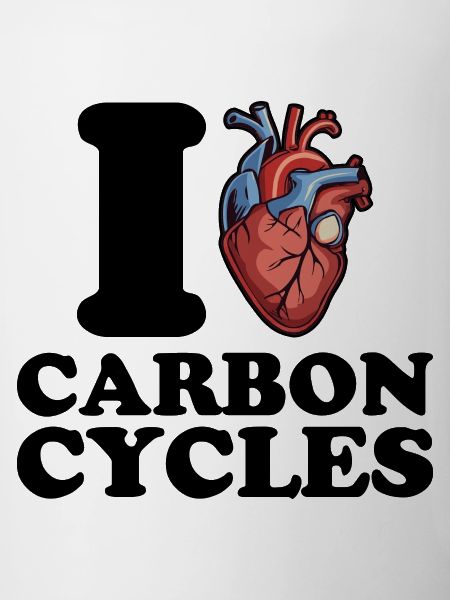I love carbon cycles