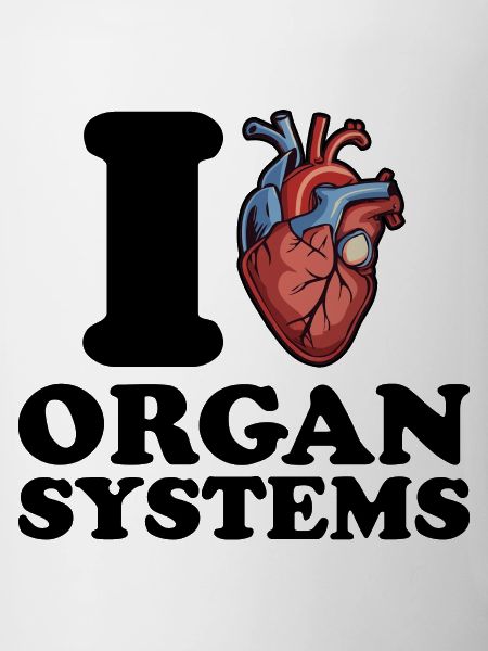 I love organ systems