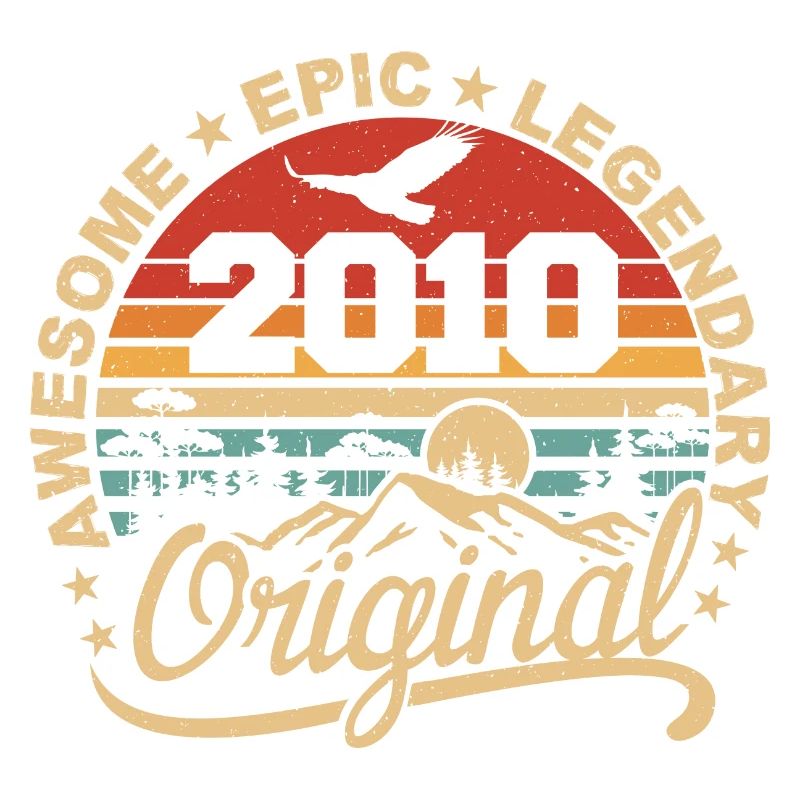 Original 2010 Retro 2010 Birthday Gift 2010