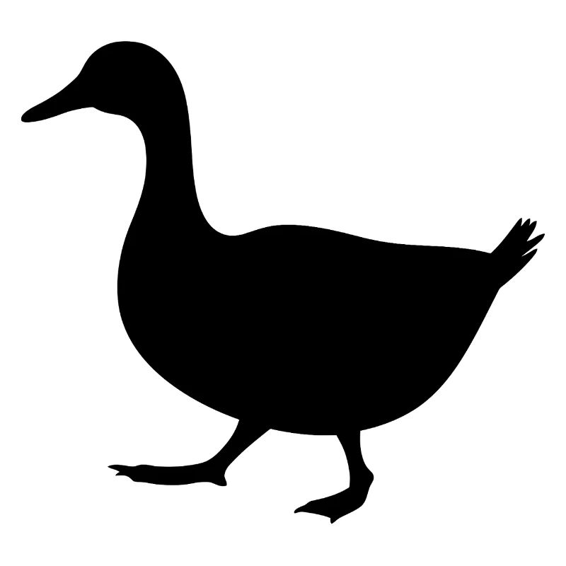 Silhouette de canard marchant