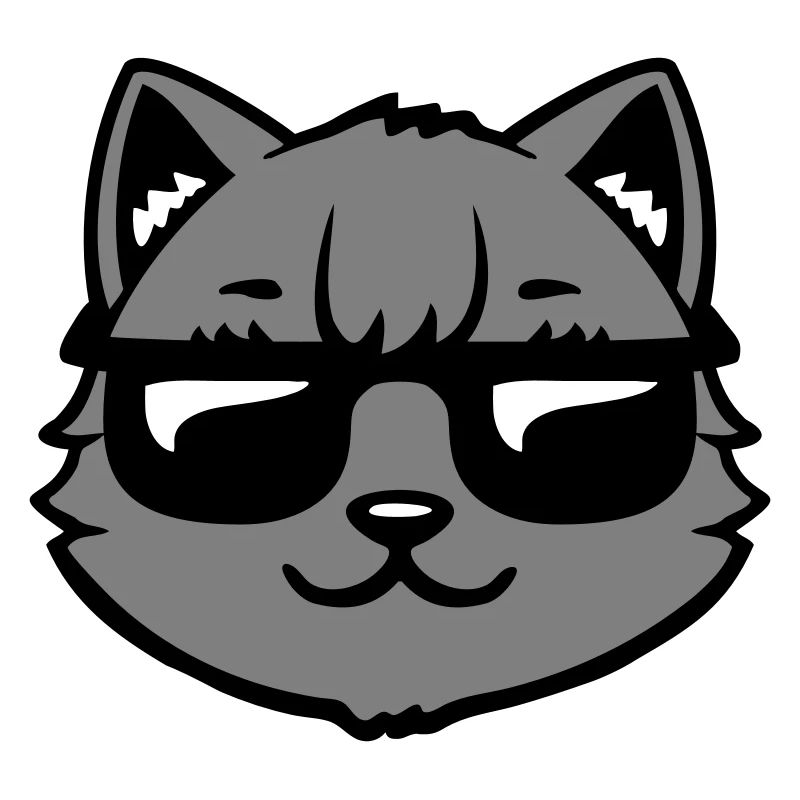 Lunettes de soleil gris chat Look cool style décontracté