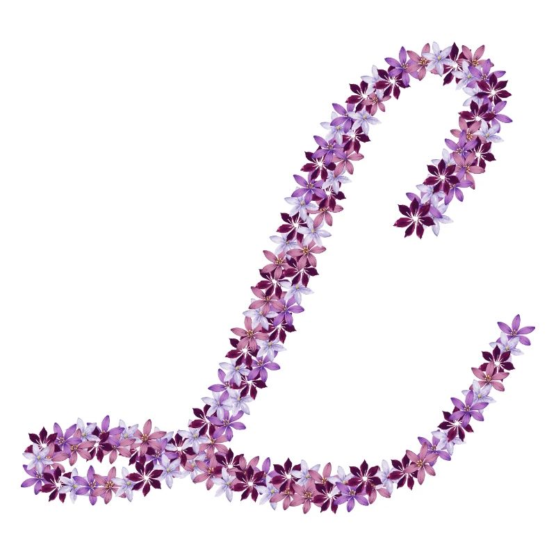 Symphonie des Fleurs