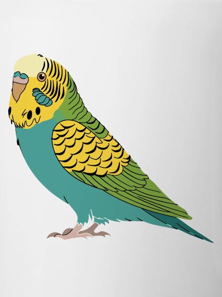 Perruche perruche turquoise vert jaune