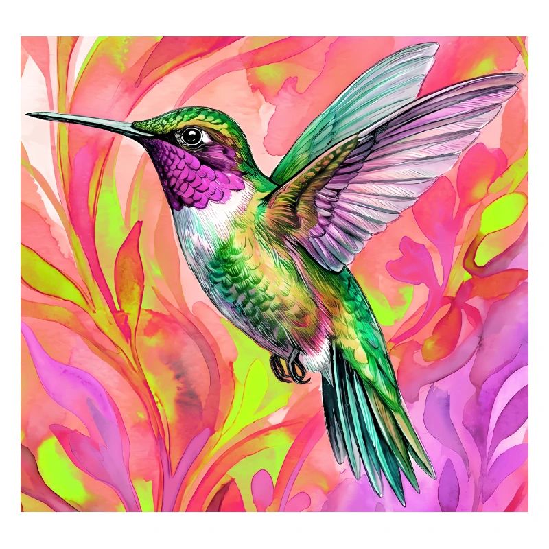 colibri
