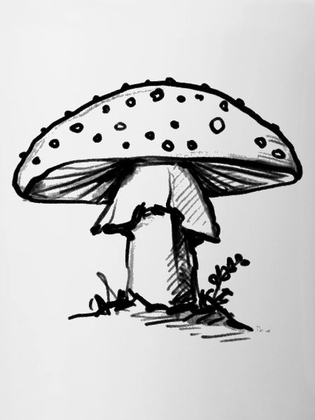 Pilz - Illustration