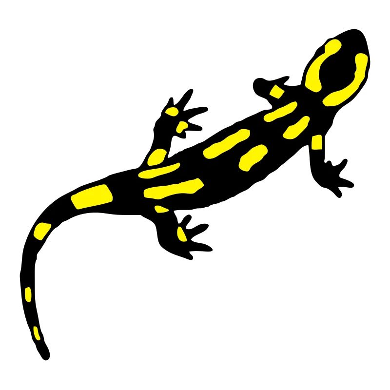 Feuersalamander (gebändert)