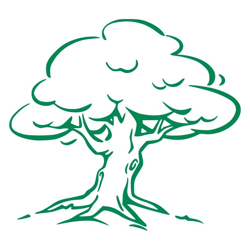 Arbre Forêt Nature