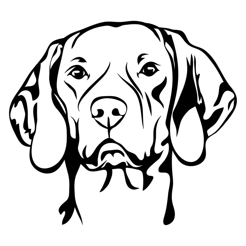 MAGYAR VIZSLA chien de chasse chiens de chasse chiens Wilsigns