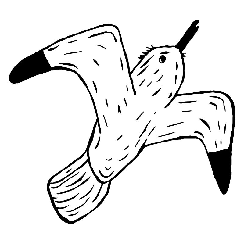 mouette