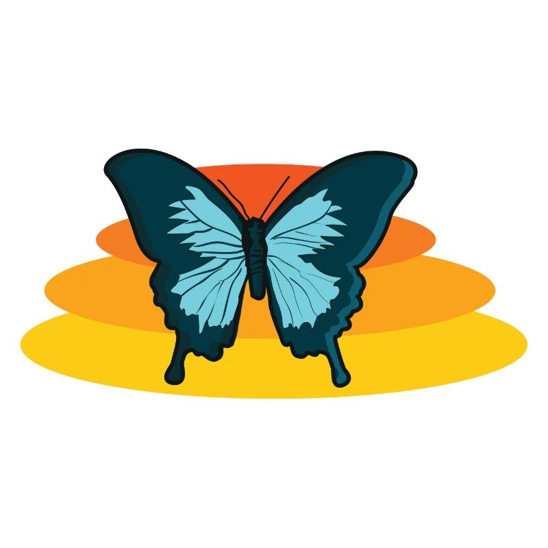 Papillon mite papillon papillon aile