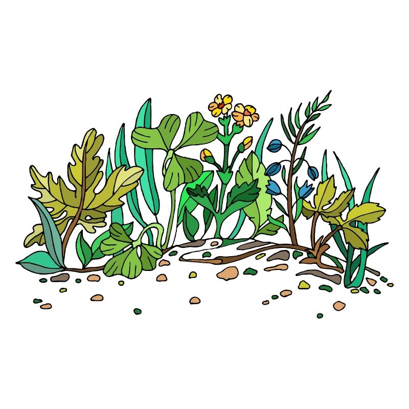 La matrice verte