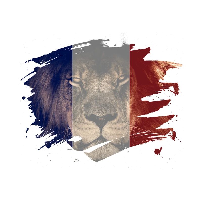 Drapeau france, lion africain, image