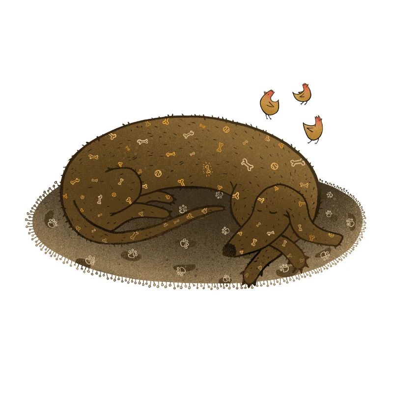 Chien