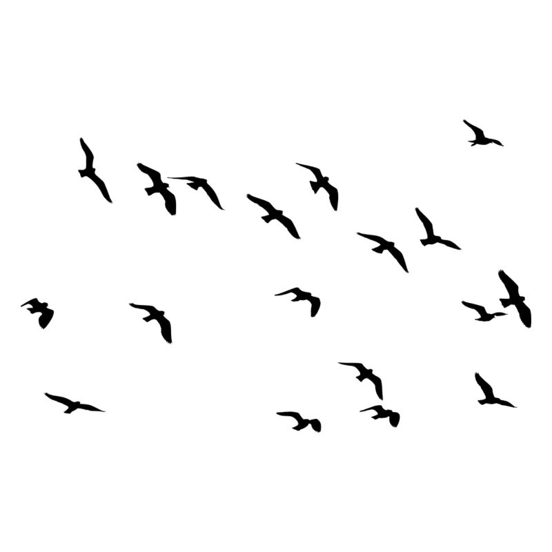 Les oiseaux