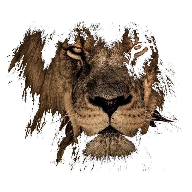 Löwe Designe, Sternzeichen, Lion