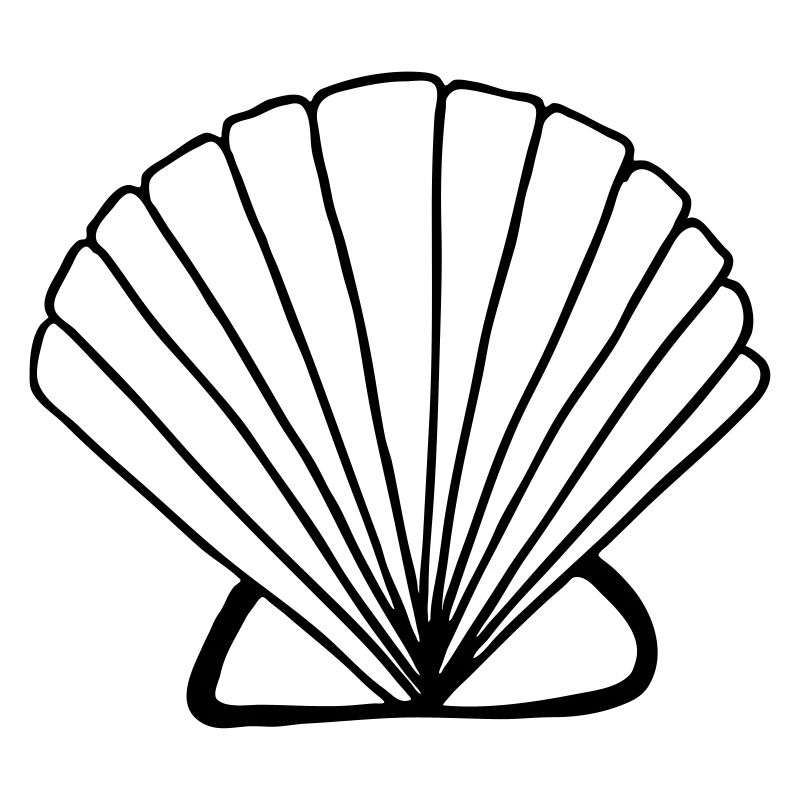 Muschel