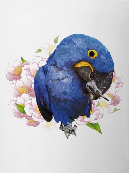 Hyacinth Macaw