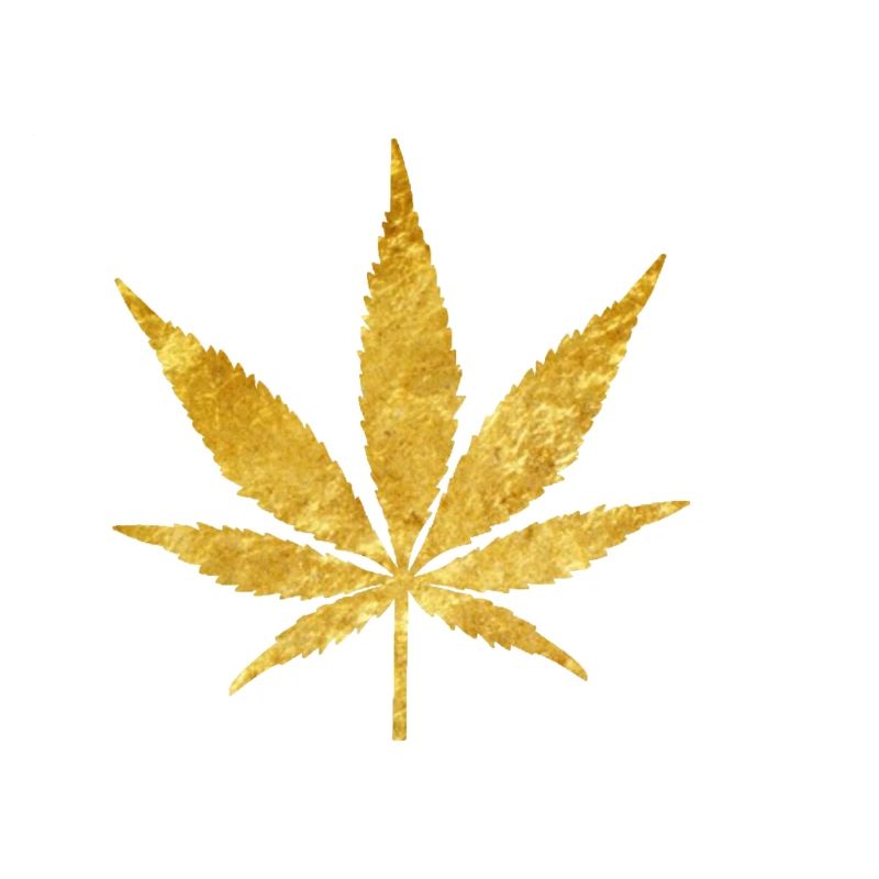 Hemp by Midas