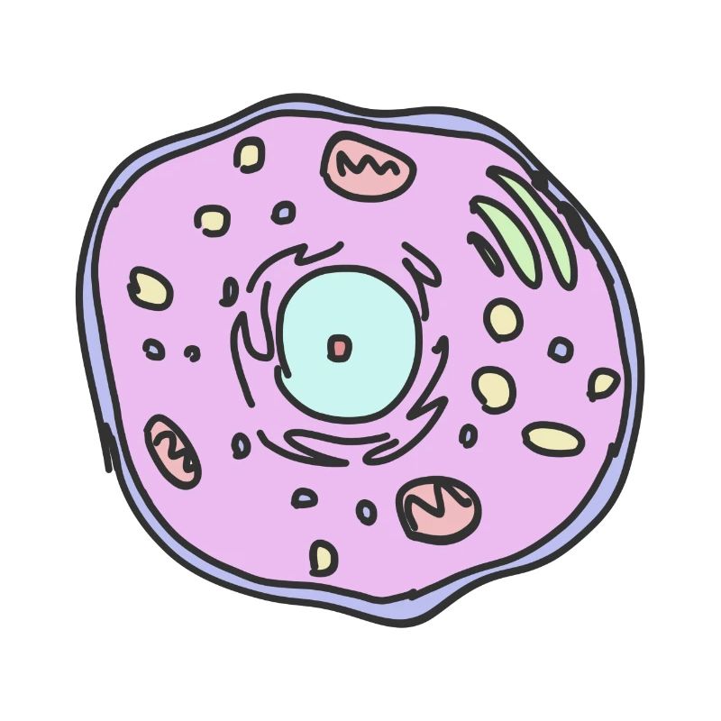 cellule animale