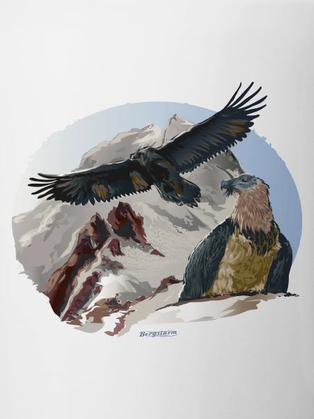 Baret Vulture National Park Berchtesgaden