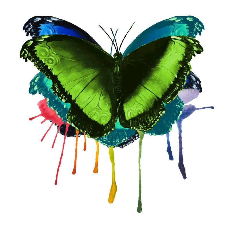 Schmetterling bunt regenbogen fly von Mrs Erdnuss