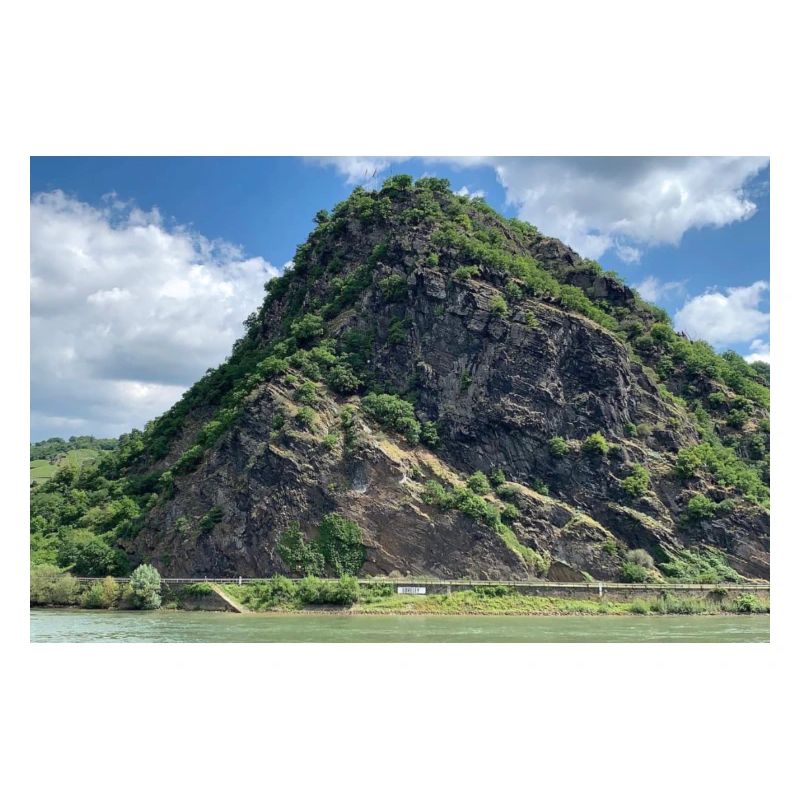 Berg