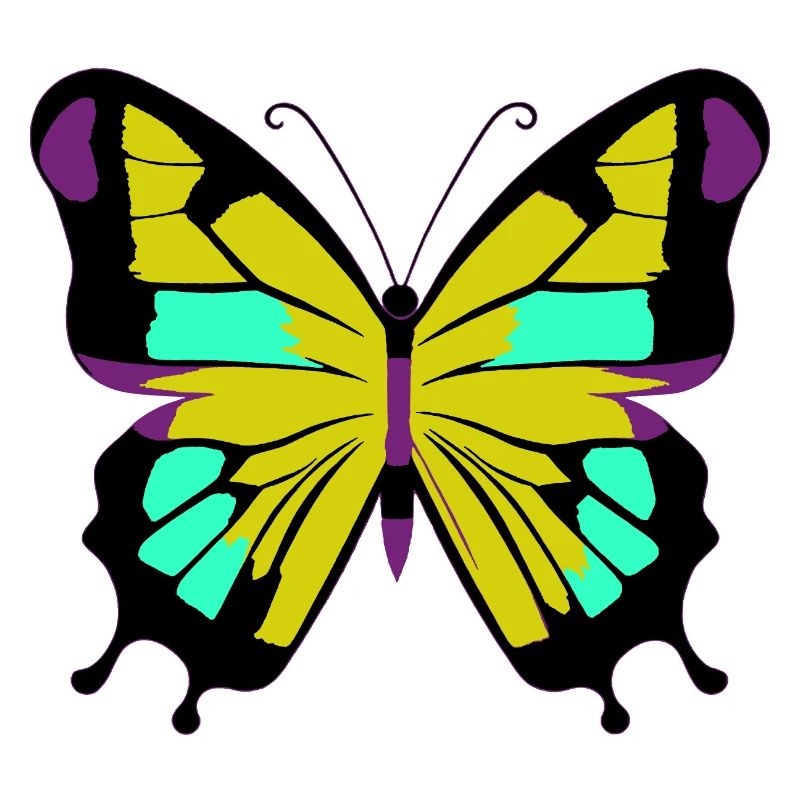 Papillon abstrait coloré