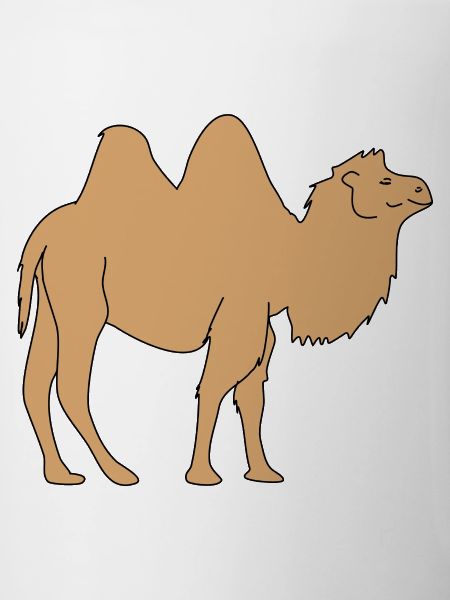 camel