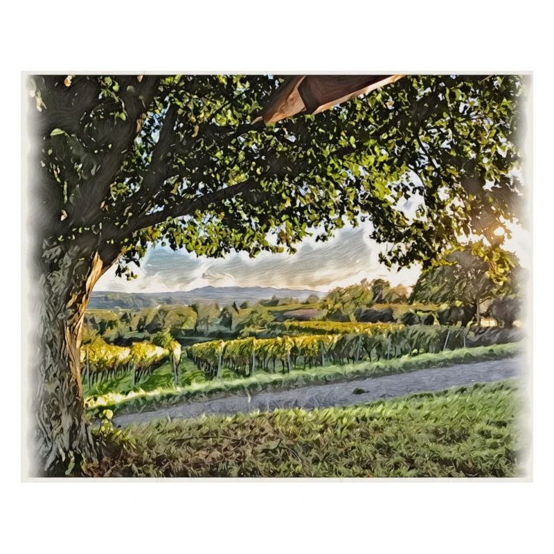 Ausblick