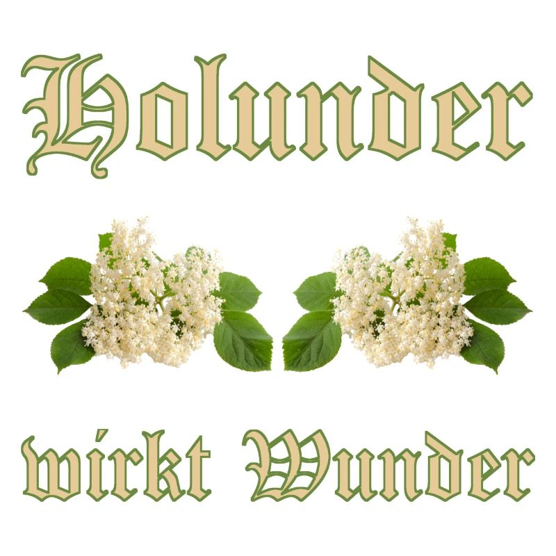 holunder wirkt wunder