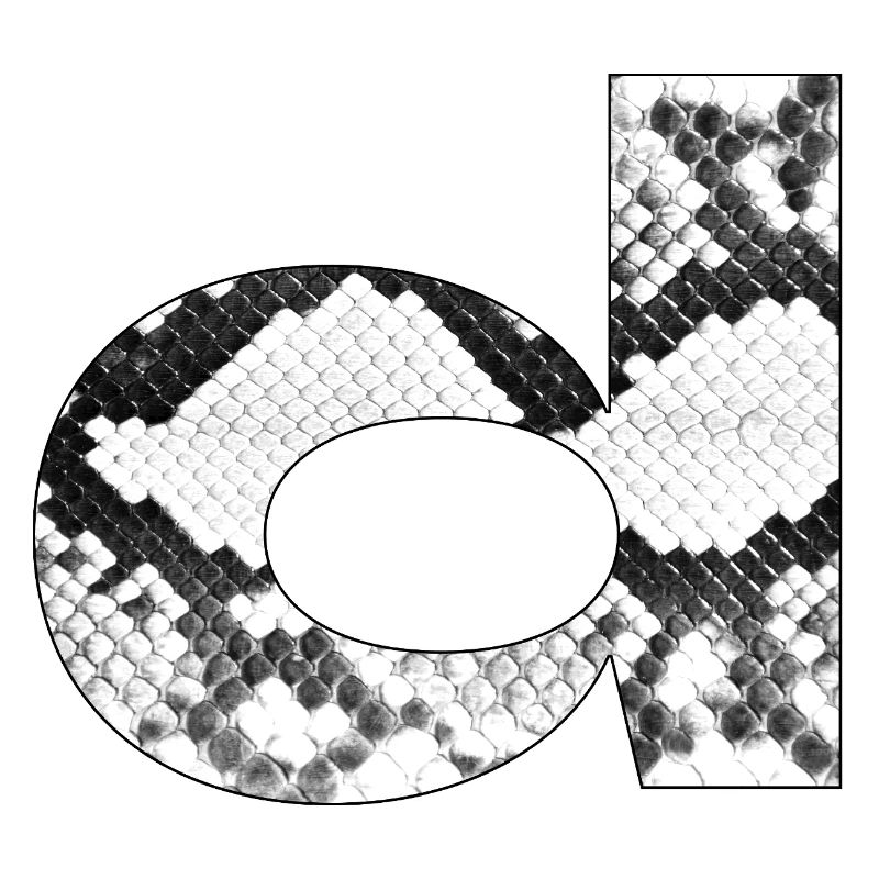 Snake Print Letter D