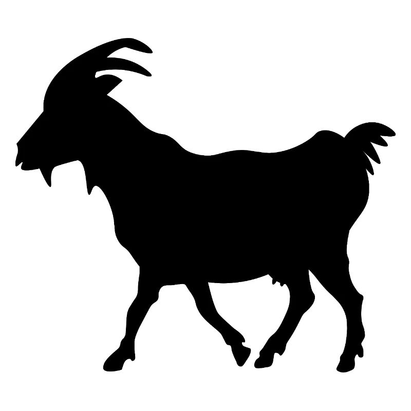Ziege schwarz