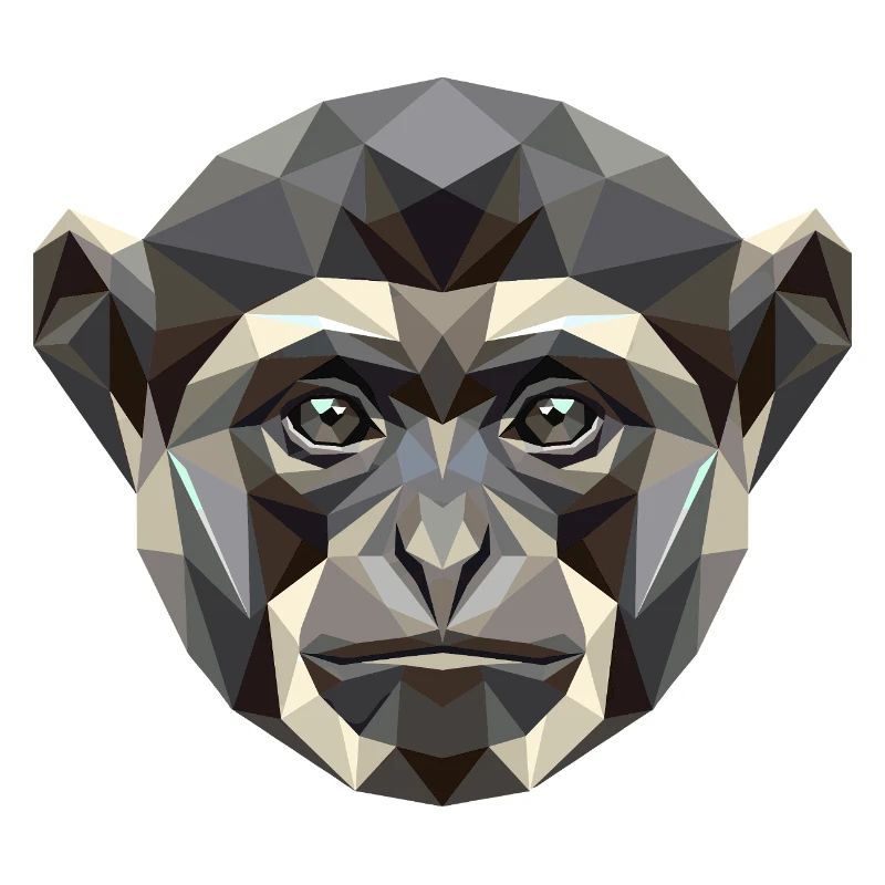 Gibbon Singe Mainblanche Gibbon Singe Lar mignon