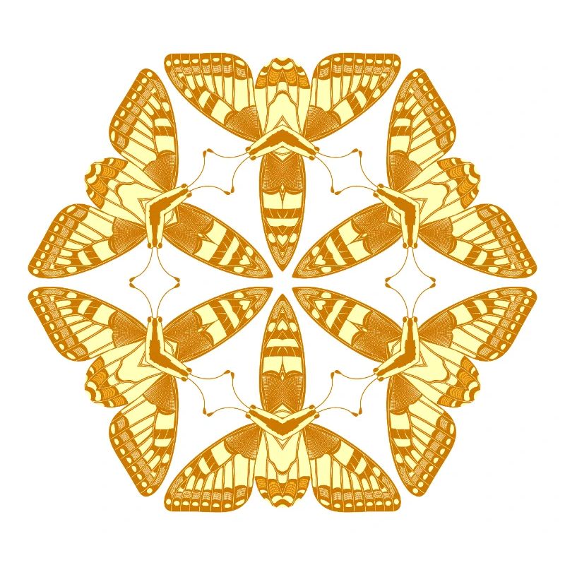 Papillons Mandala dorés – Insectes