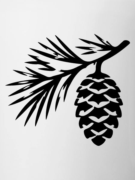 Tannenzapfen Zweig