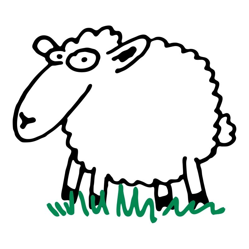 Schaf