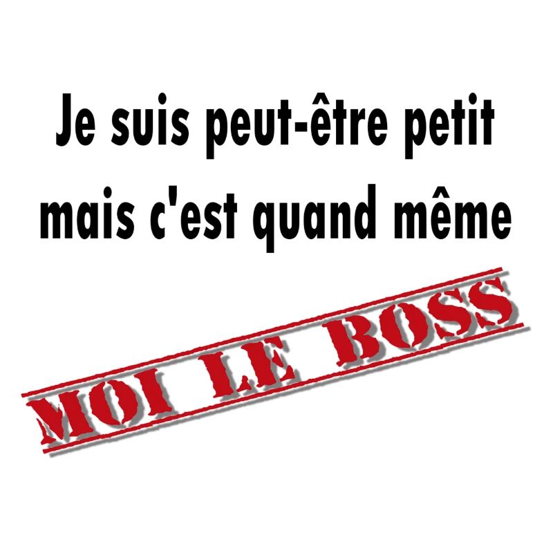 cest moi le boss