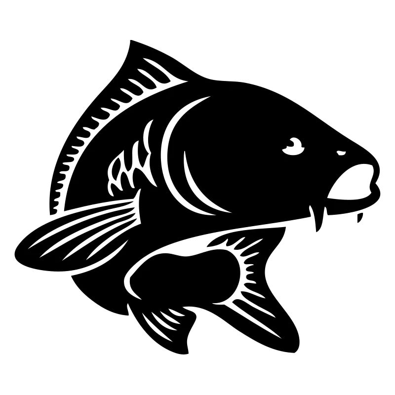 Un poisson carpe.