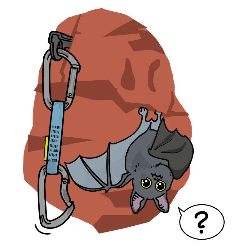 Escalade, Chauve-souris