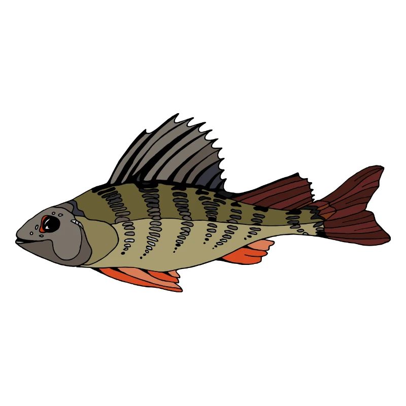 Fisch