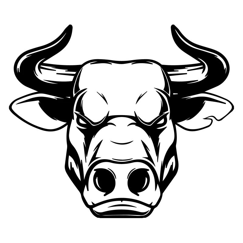 stier print head head bulle