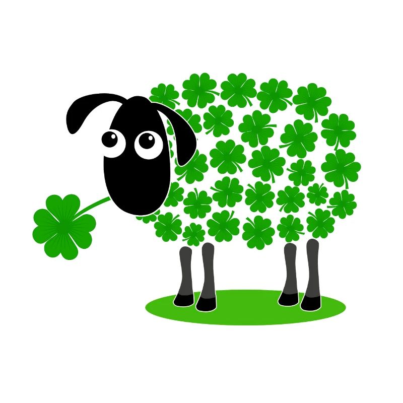 Sheep with shamrock - shamrocks wool gift