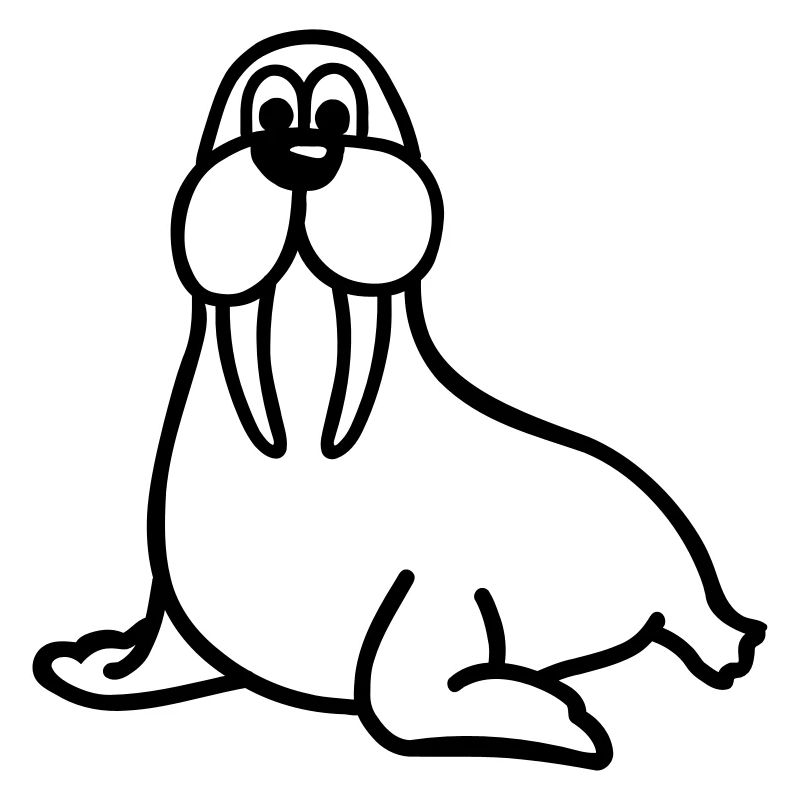 Walrus
