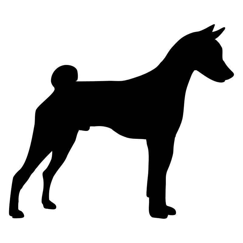 basenji
