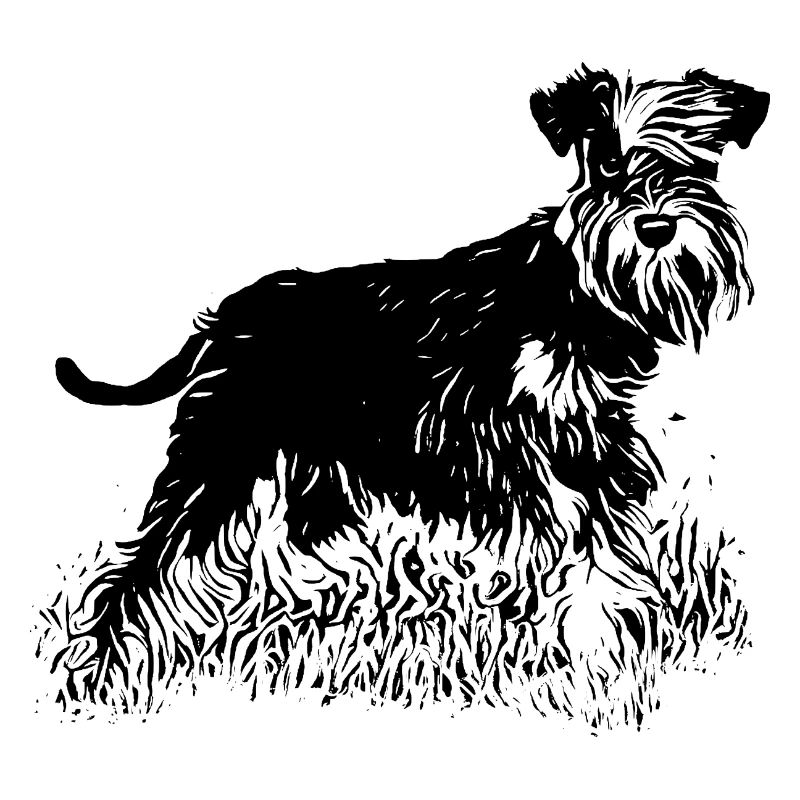 Zwergschnauzer Hunde