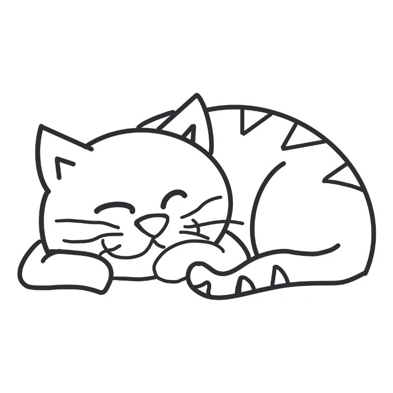 Chat endormi