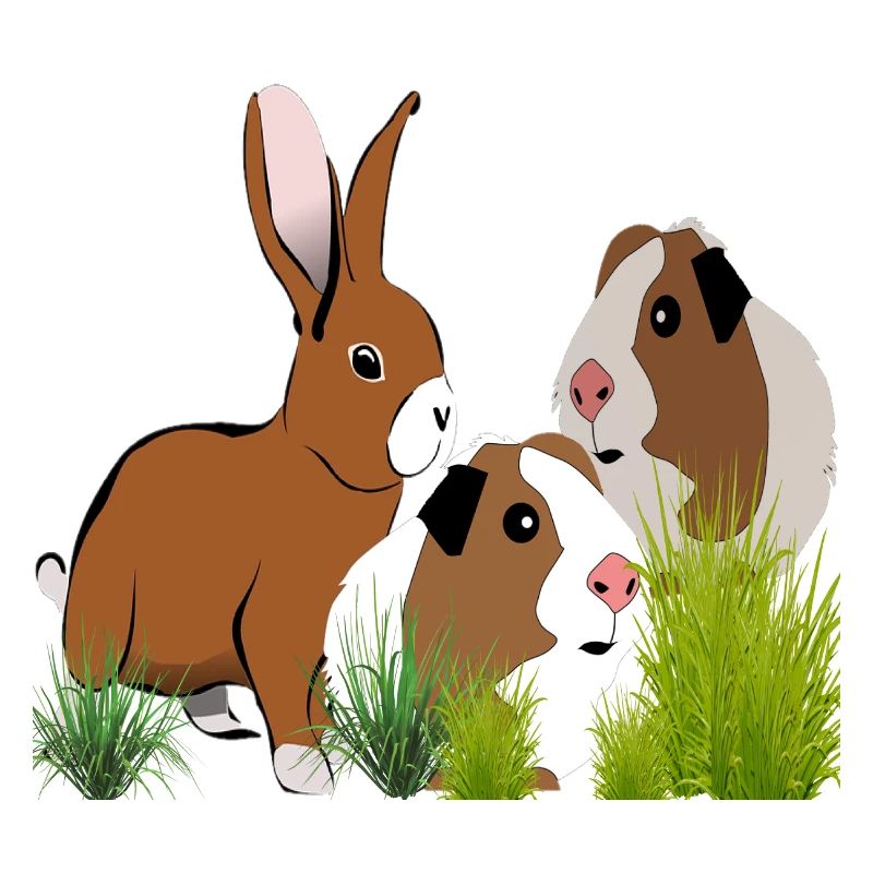 Guinea Pig Rabbit Design