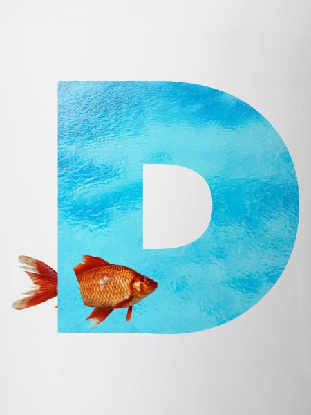 poisson rouge d