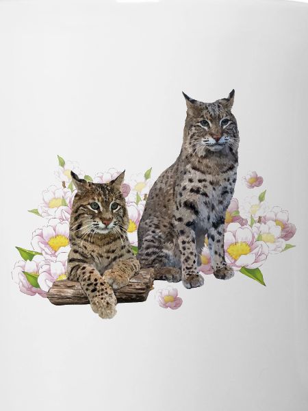 Lynx