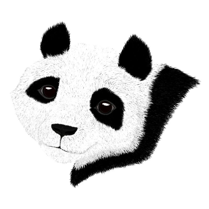 Süßer Panda